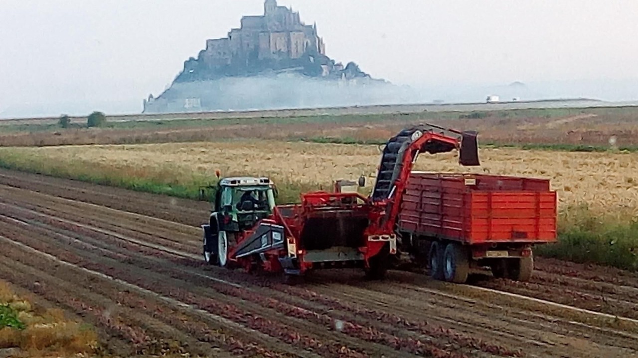 Photo of Others in Pontorson