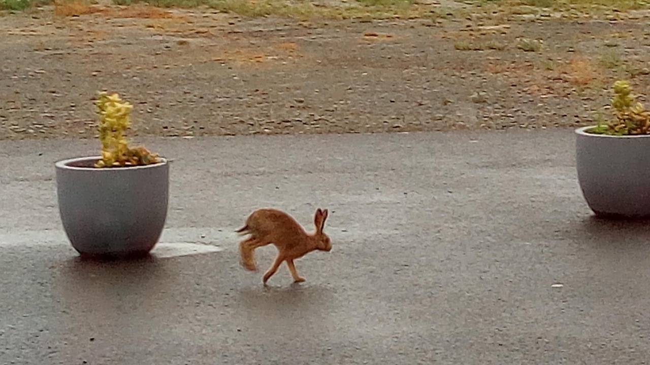 Photo of Outdoor in Pontorson