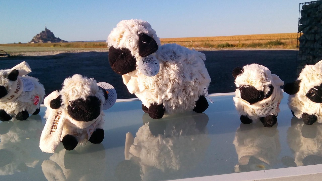 Photo of Others in Pontorson