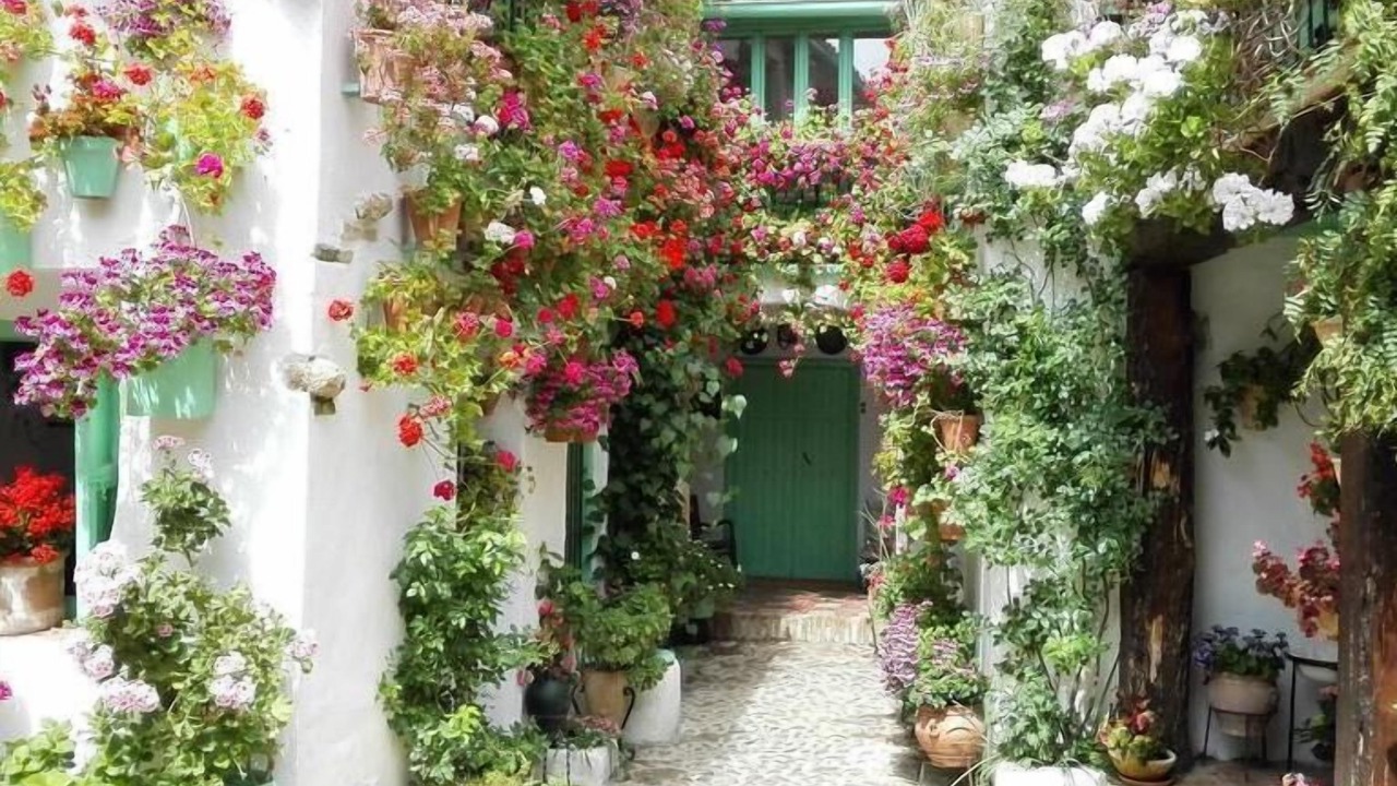 Photo of Outdoor in San Basilio