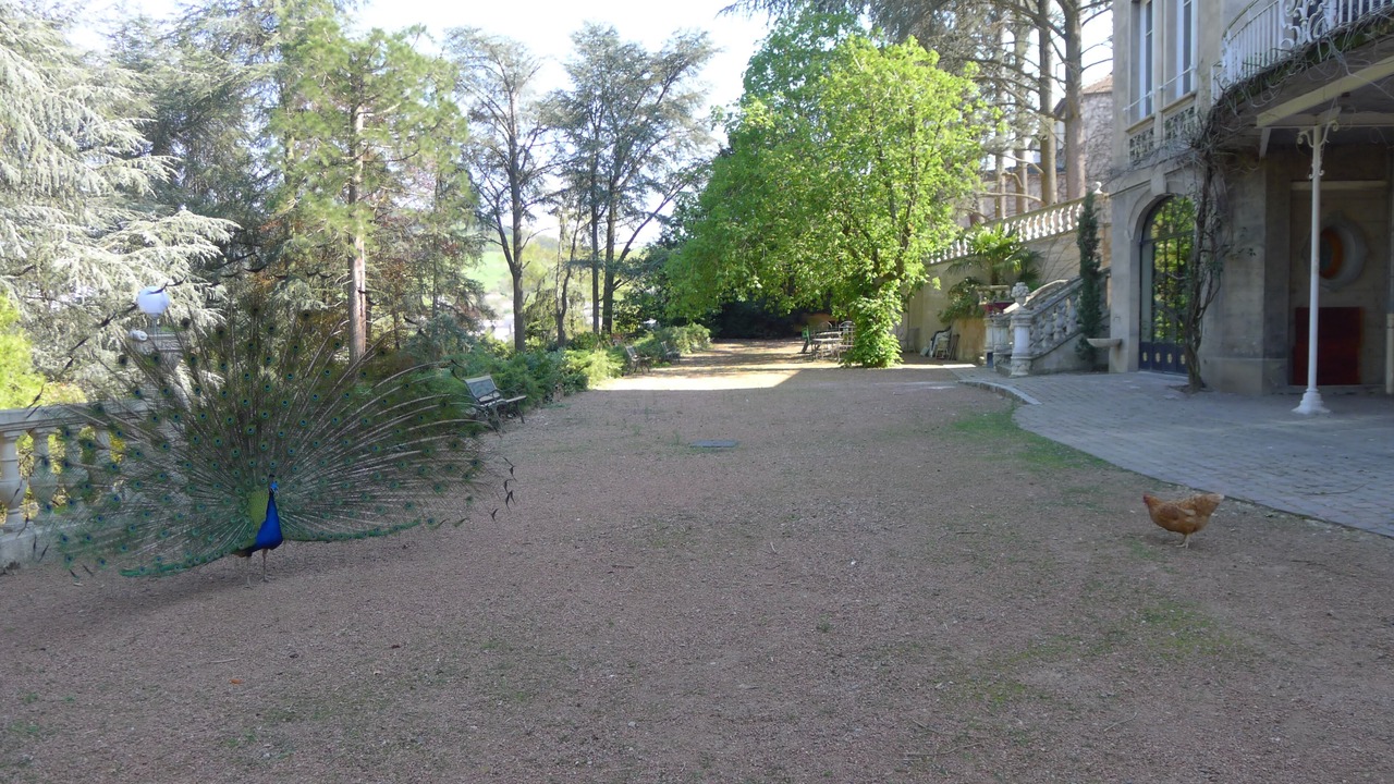 Photo of Outdoor in Tarare