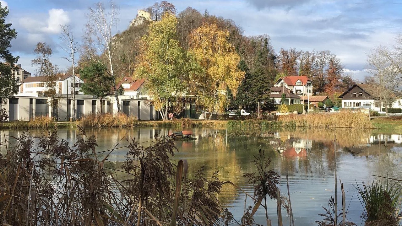 Photo of Outdoor in Ferrette