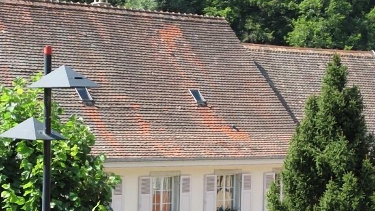 Photo of Outdoor in Ferrette