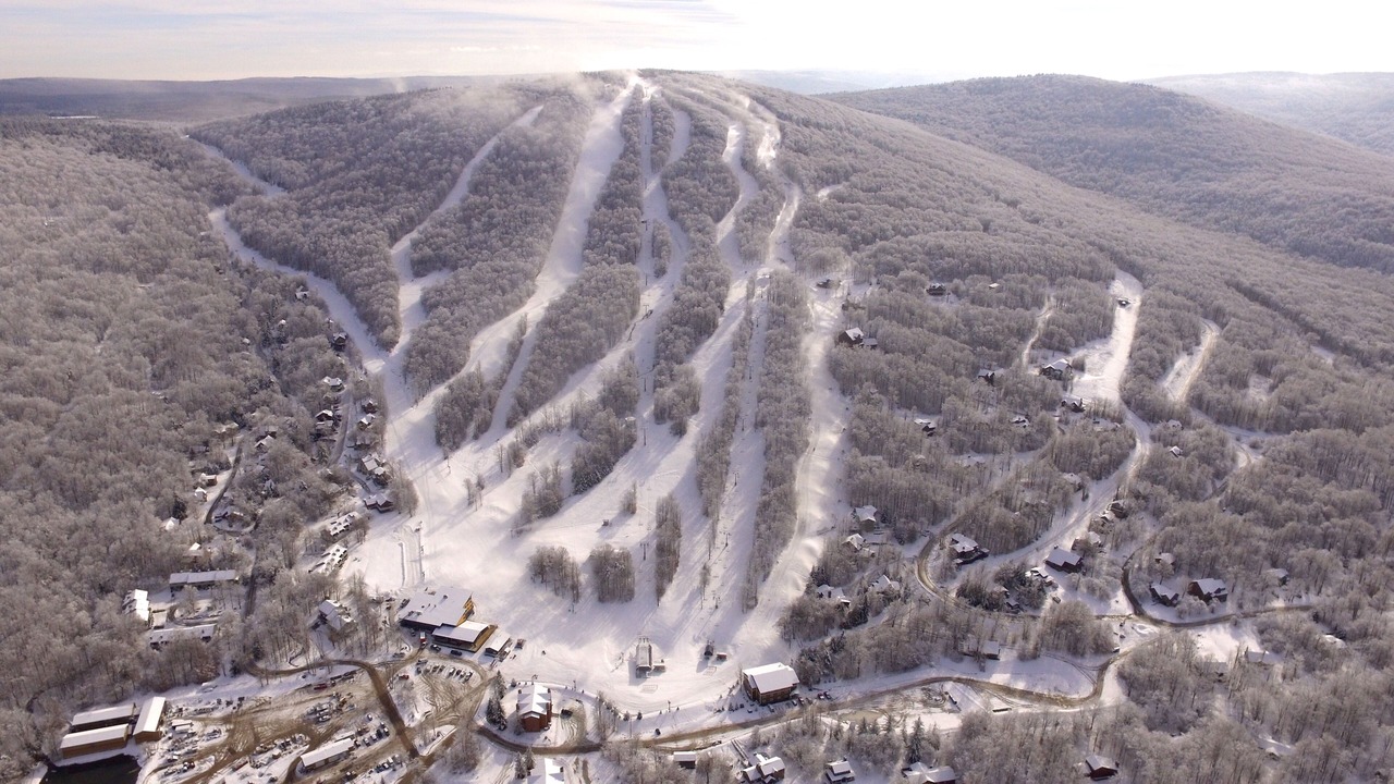 Photo of Others in Timberline