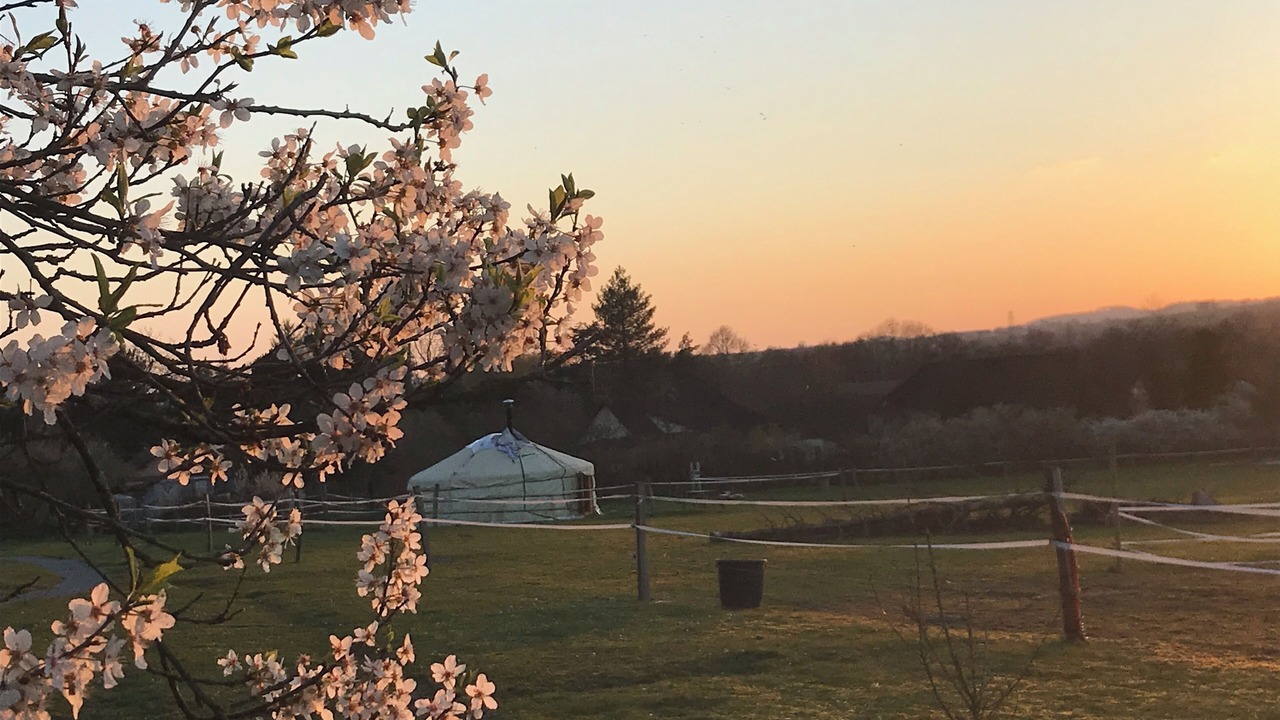 Photo of Outdoor in Saint-Leger-sur-Dheune