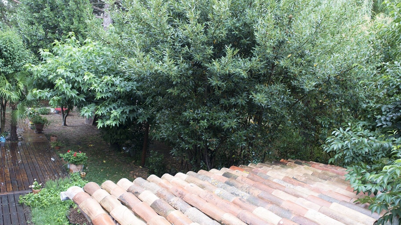 Photo of Outdoor in Carcassonne