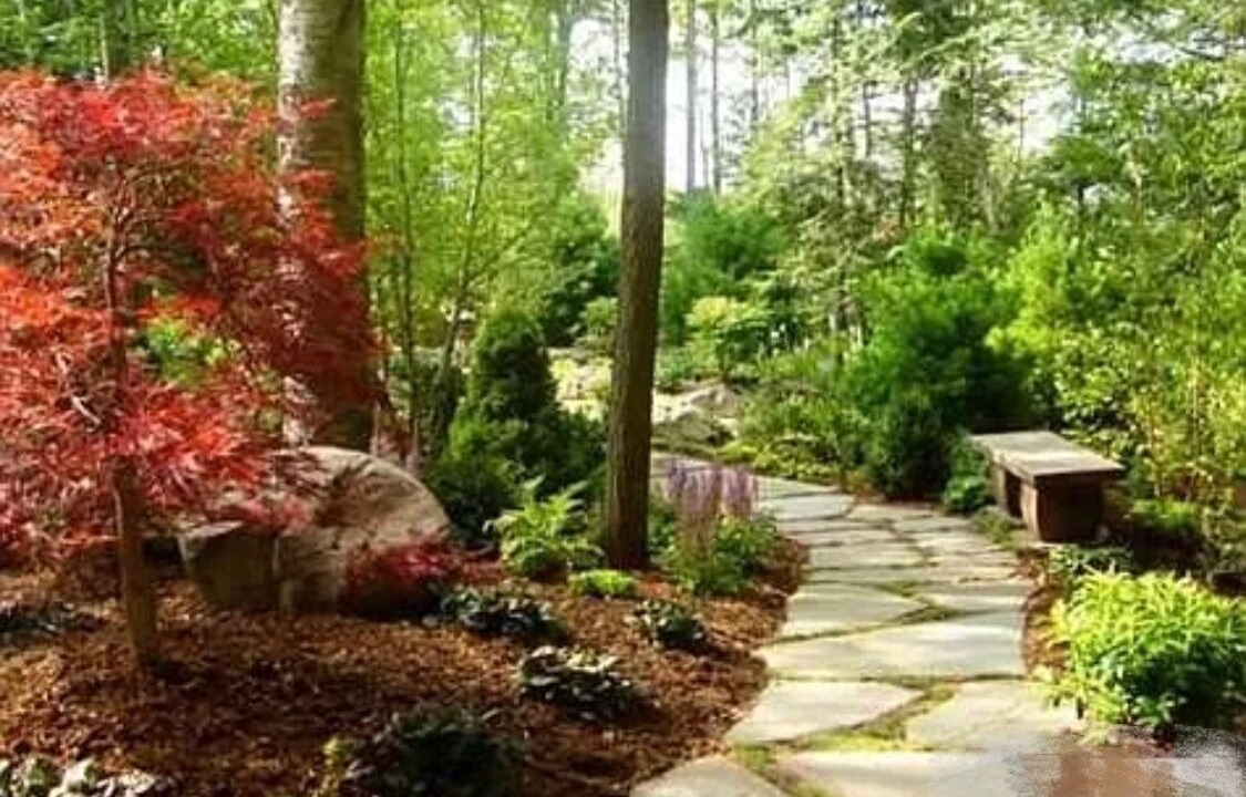 Photo of Outdoor in Tannersville