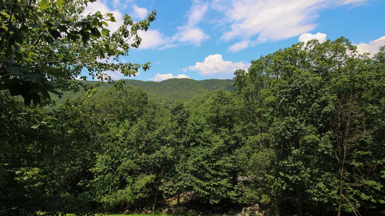 Photo of Outdoor in McGaheysville