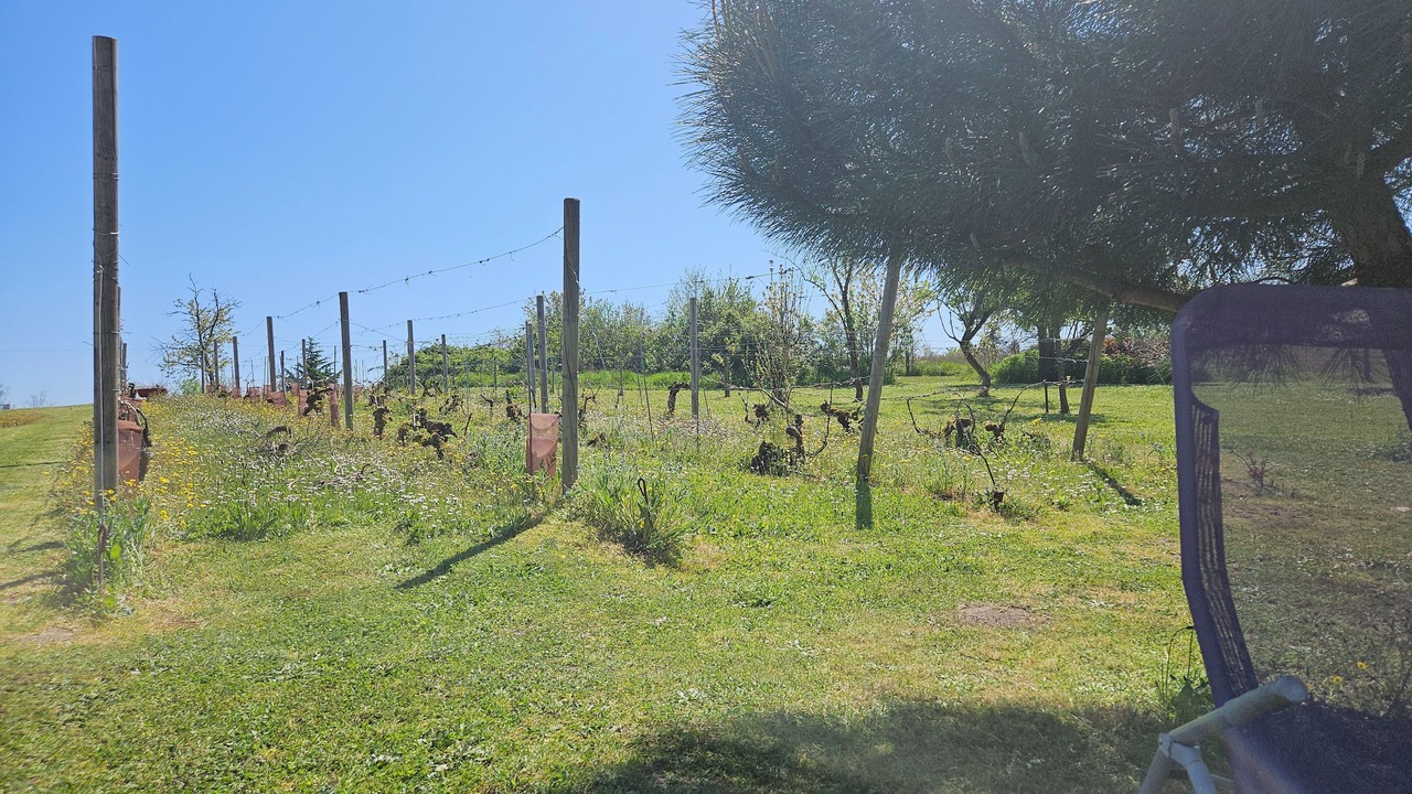 Photo of Outdoor in Bors de Montmoreau