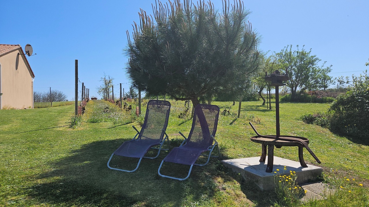 Photo of Outdoor in Bors de Montmoreau