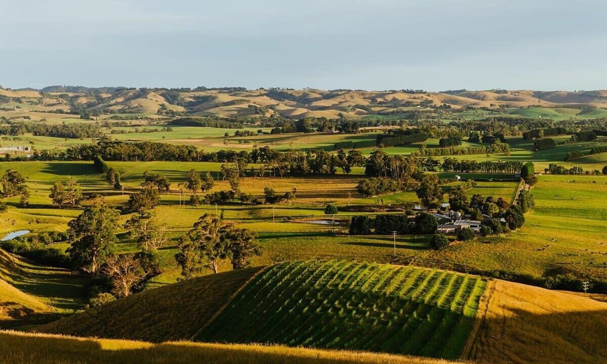 Photo of Others in Dumbalk