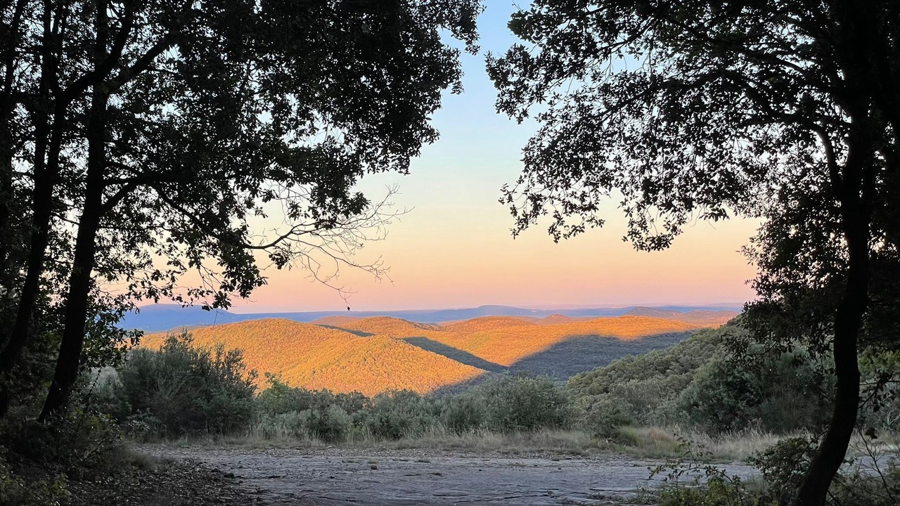 Photo of Others in Saint-Jean-du-Gard