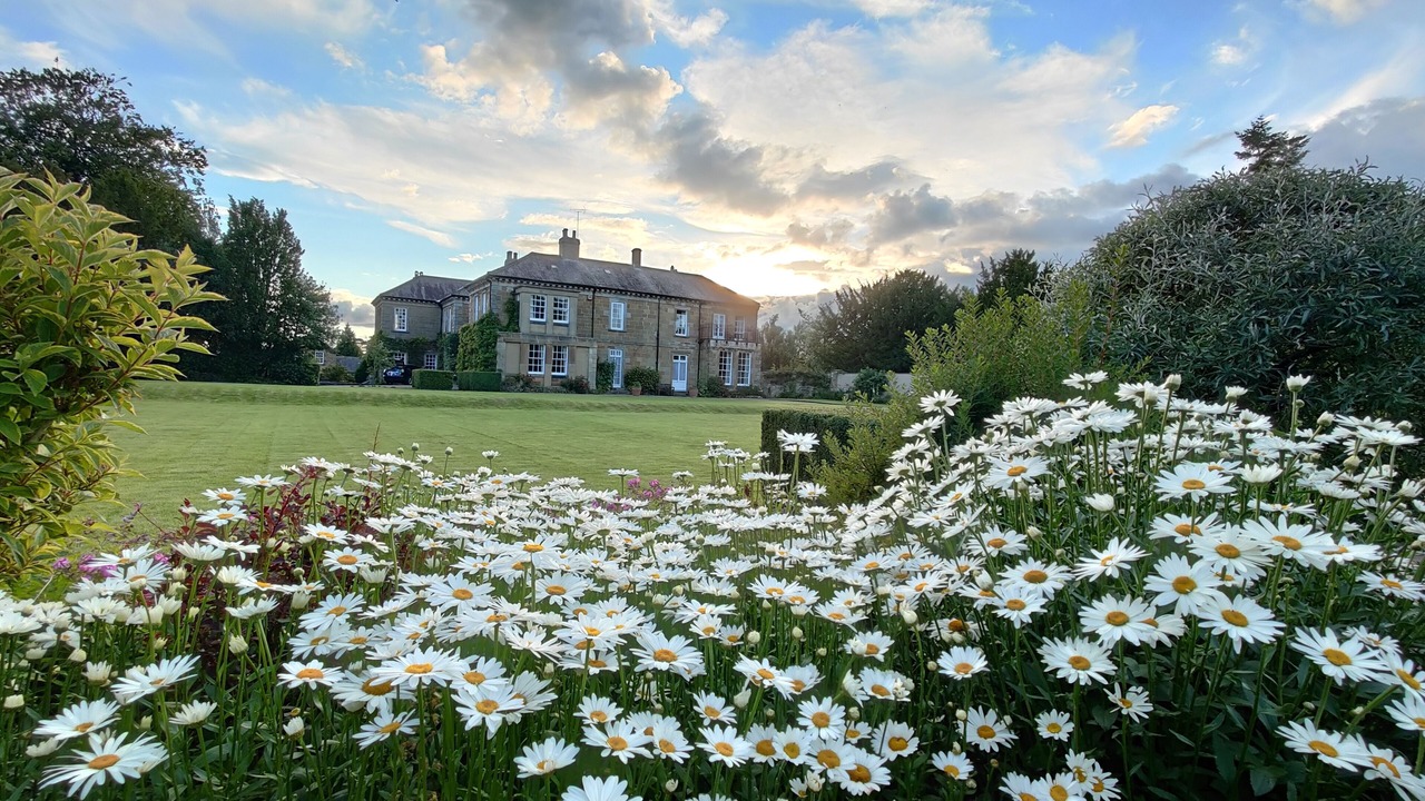 Photo of Others in Thirsk