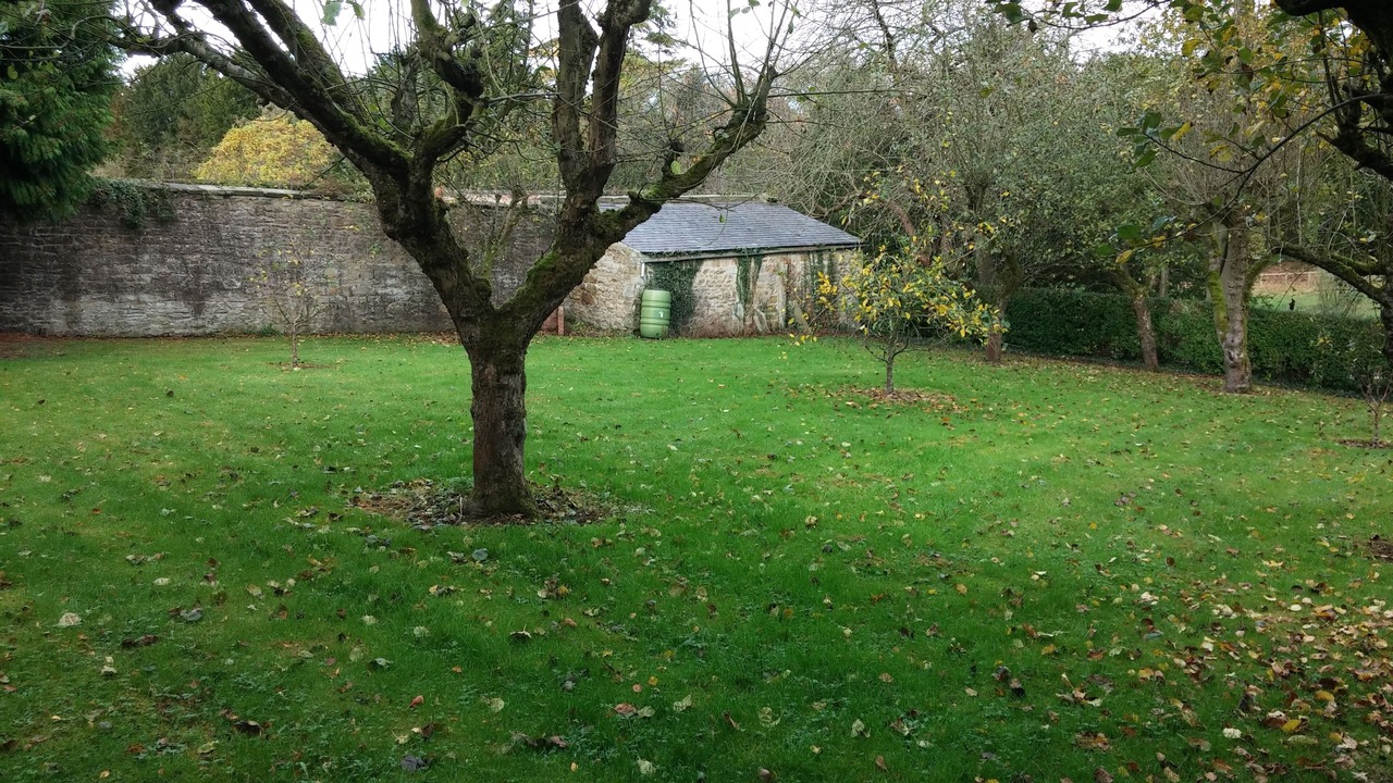 Photo of Others in Thirsk