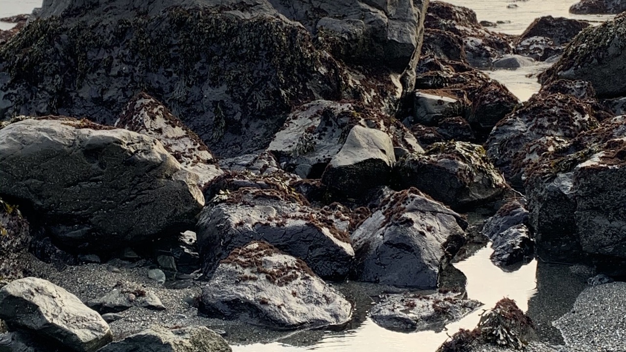 Photo of Others in Crescent City
