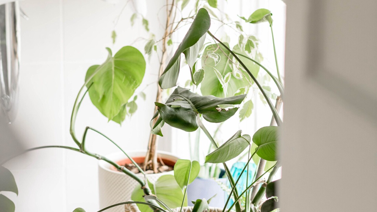 Photo of Bathroom in Longford