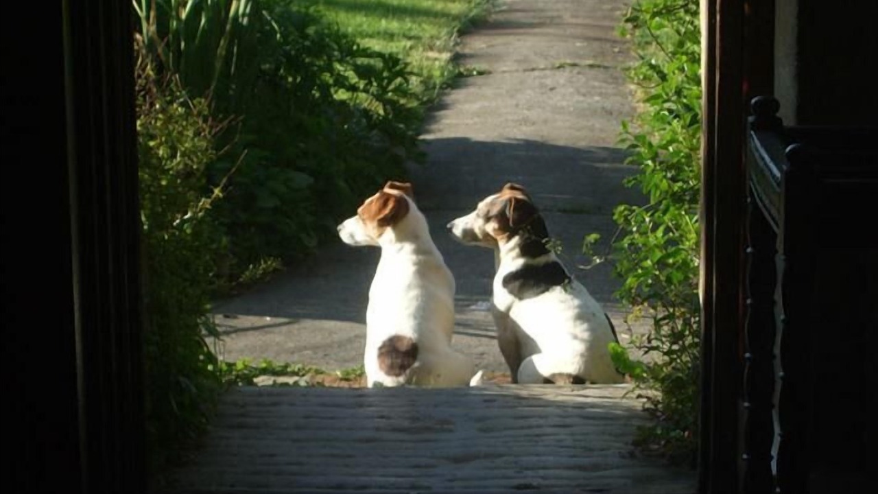 Photo of Others in Crewkerne