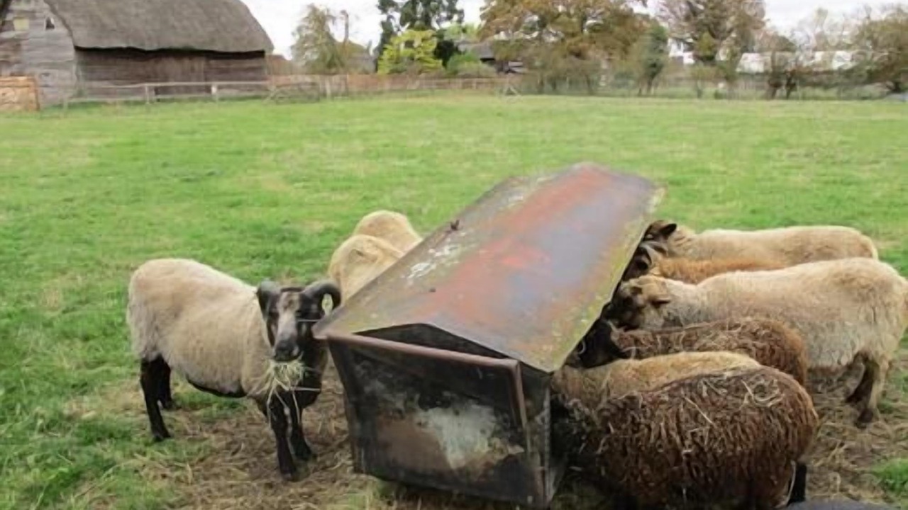 Photo of Others in Long Wittenham