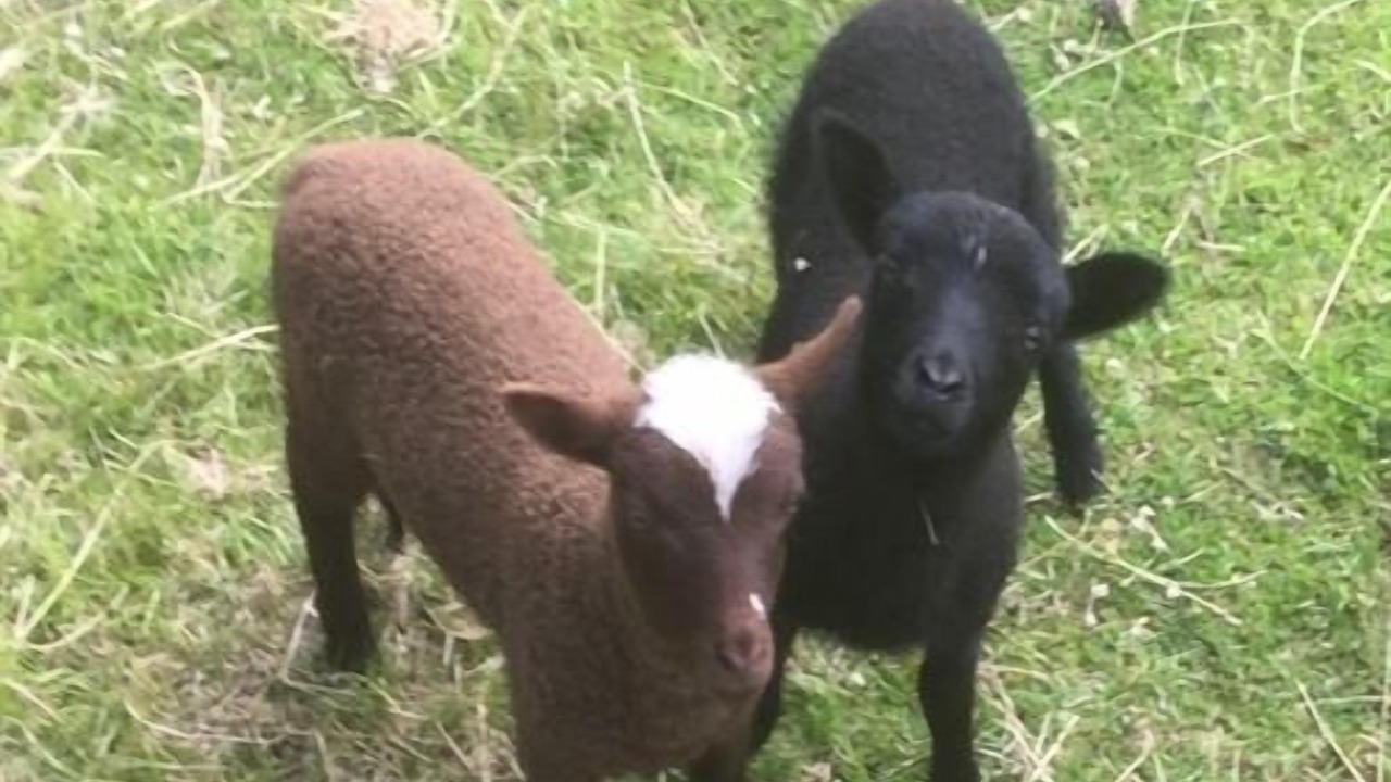 Photo of Others in Long Wittenham