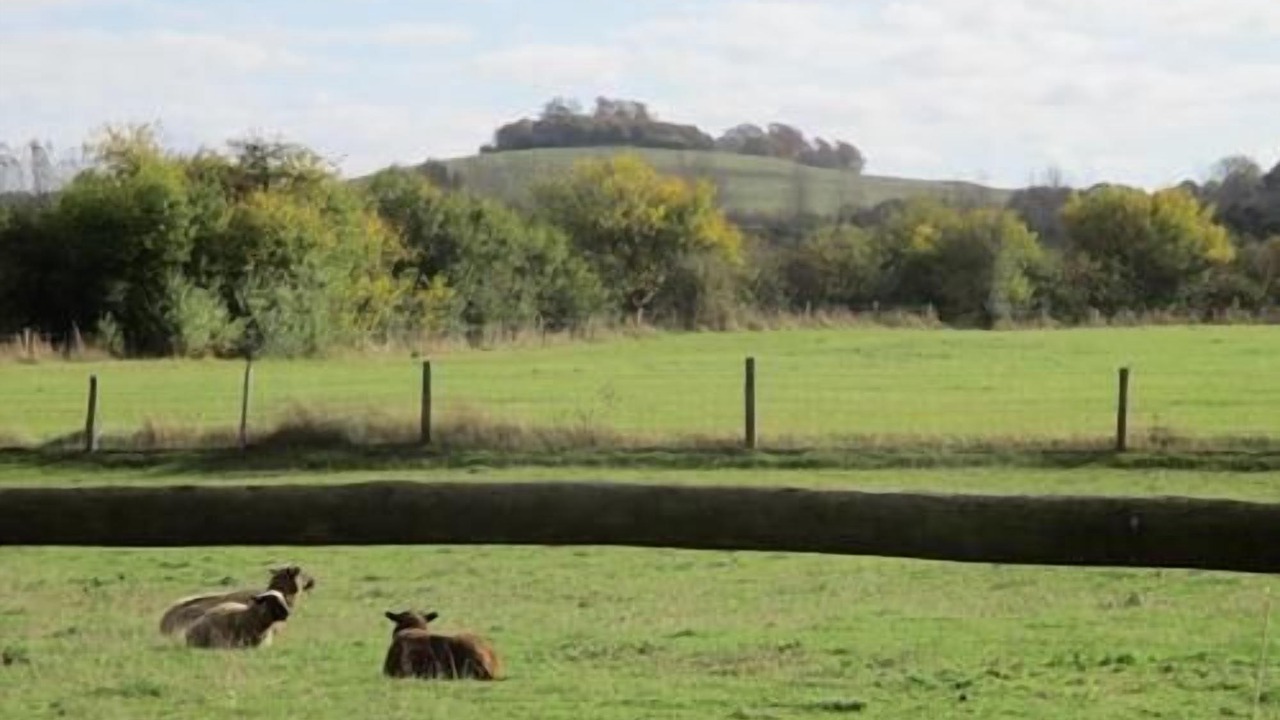 Photo of Others in Long Wittenham