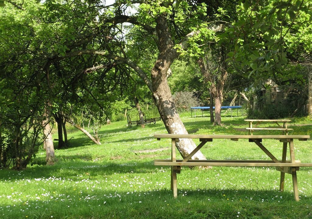 Photo of Others in Heligan