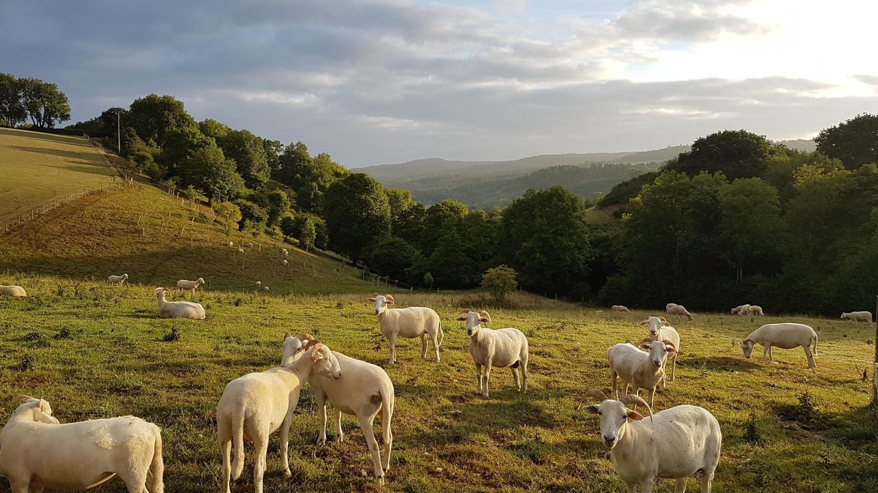 Photo of Others in Heligan