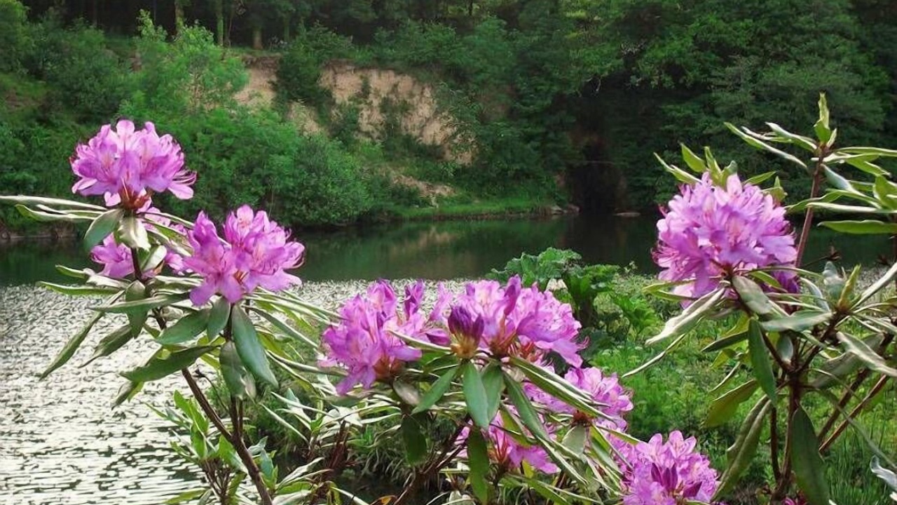 Photo of Outdoor in Mary Tavy