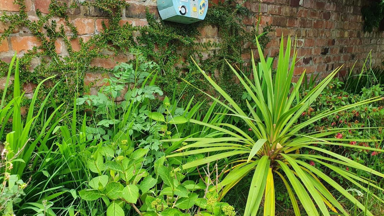 Photo of Outdoor in Ormskirk