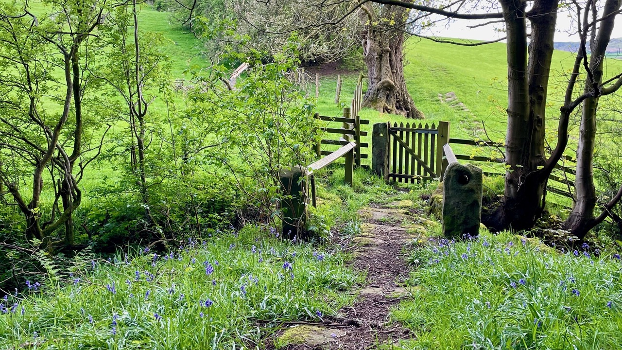 Photo of Others in Danby