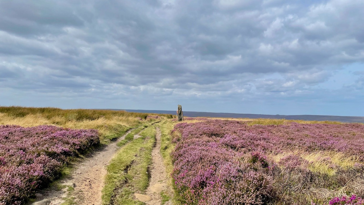 Photo of Others in Danby