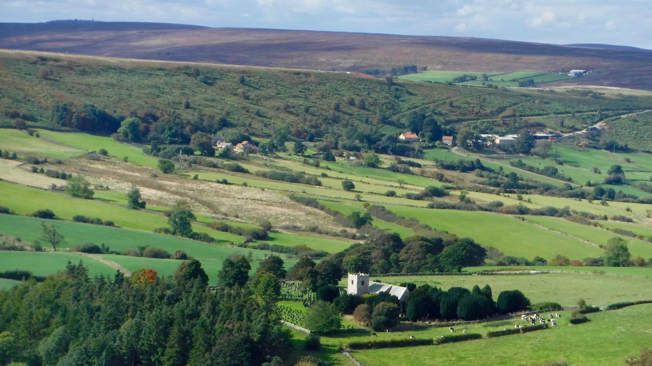 Photo of Outdoor in Danby