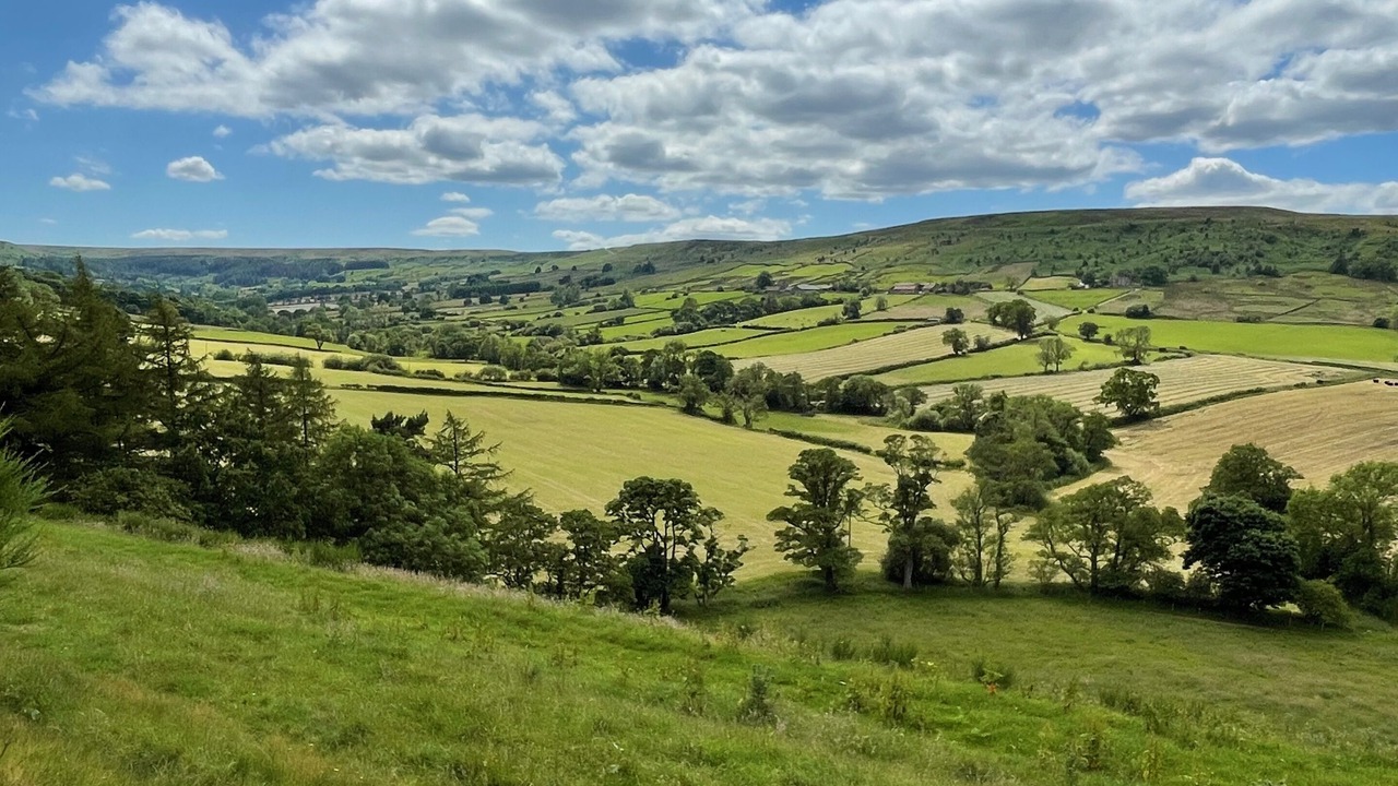 Photo of Others in Danby