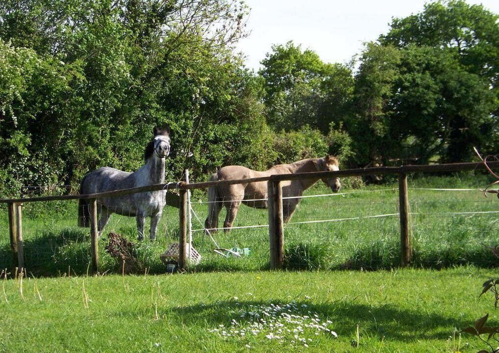 Photo of Others in Gastard