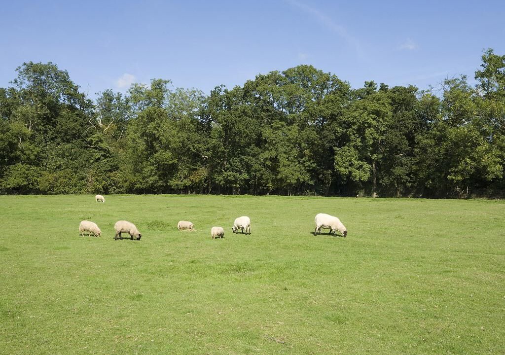 Photo of Others in Cambridge