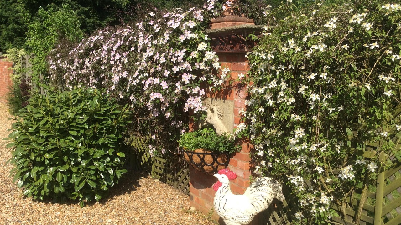 Photo of Others in Manton