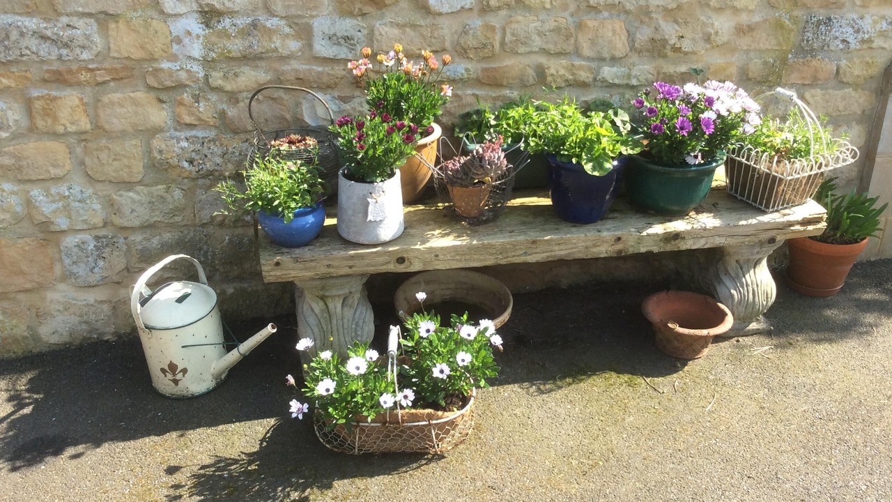 Photo of Others in Manton