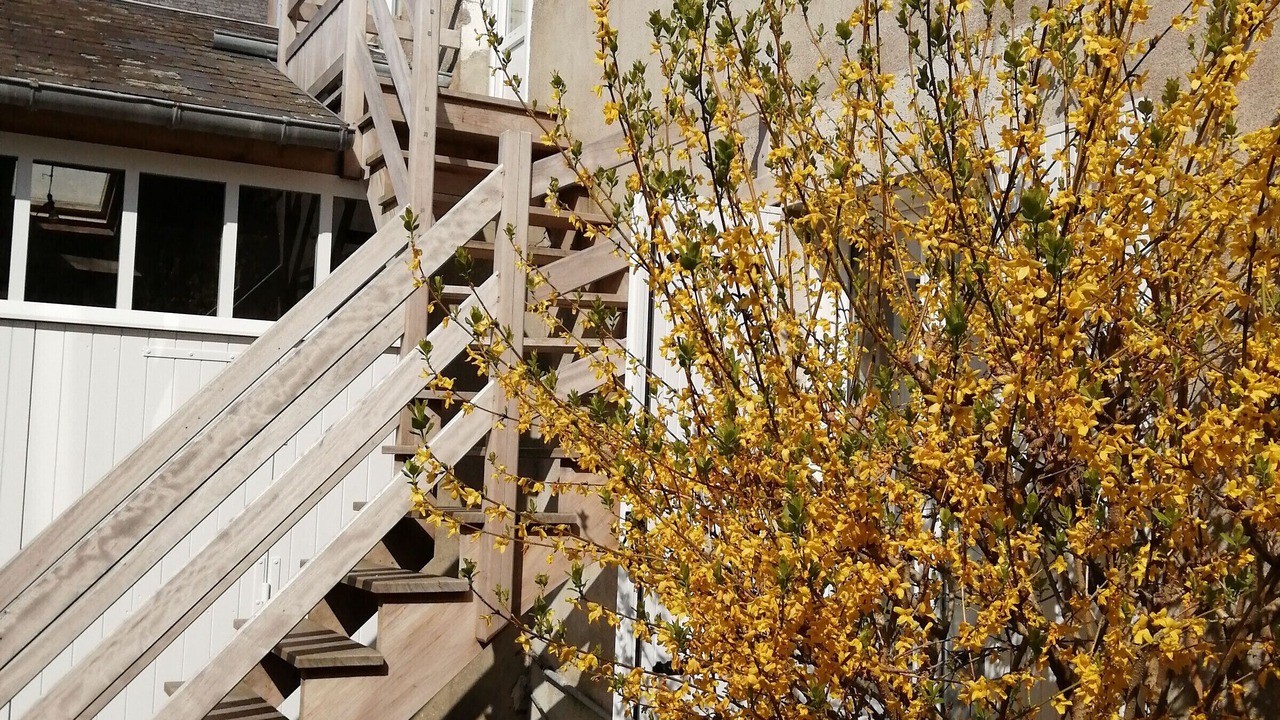 Photo of Outdoor in Bazoches-les-Gallerandes