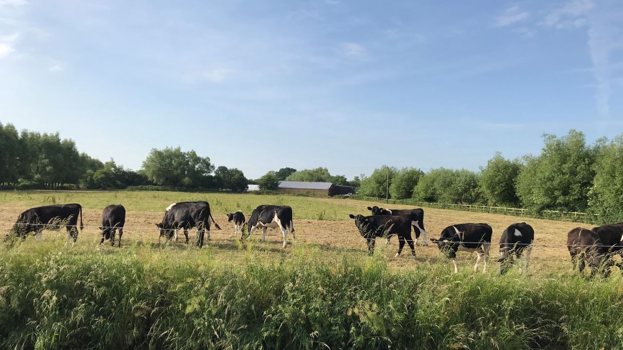 Photo of Outdoor in Lower Godney