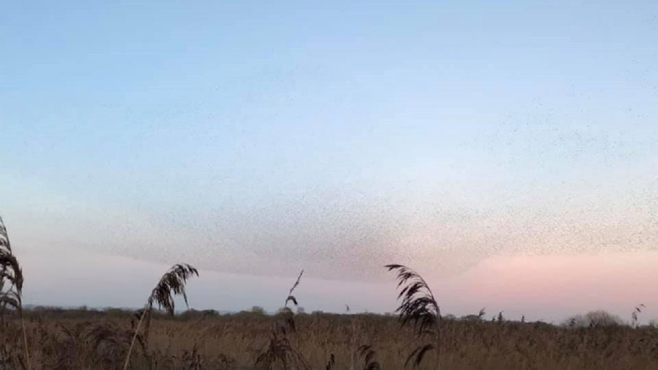 Photo of Others in Lower Godney