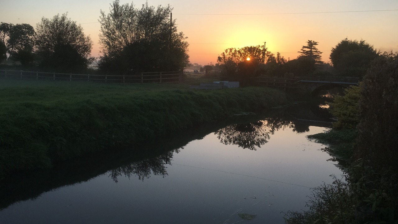 Photo of Others in Lower Godney