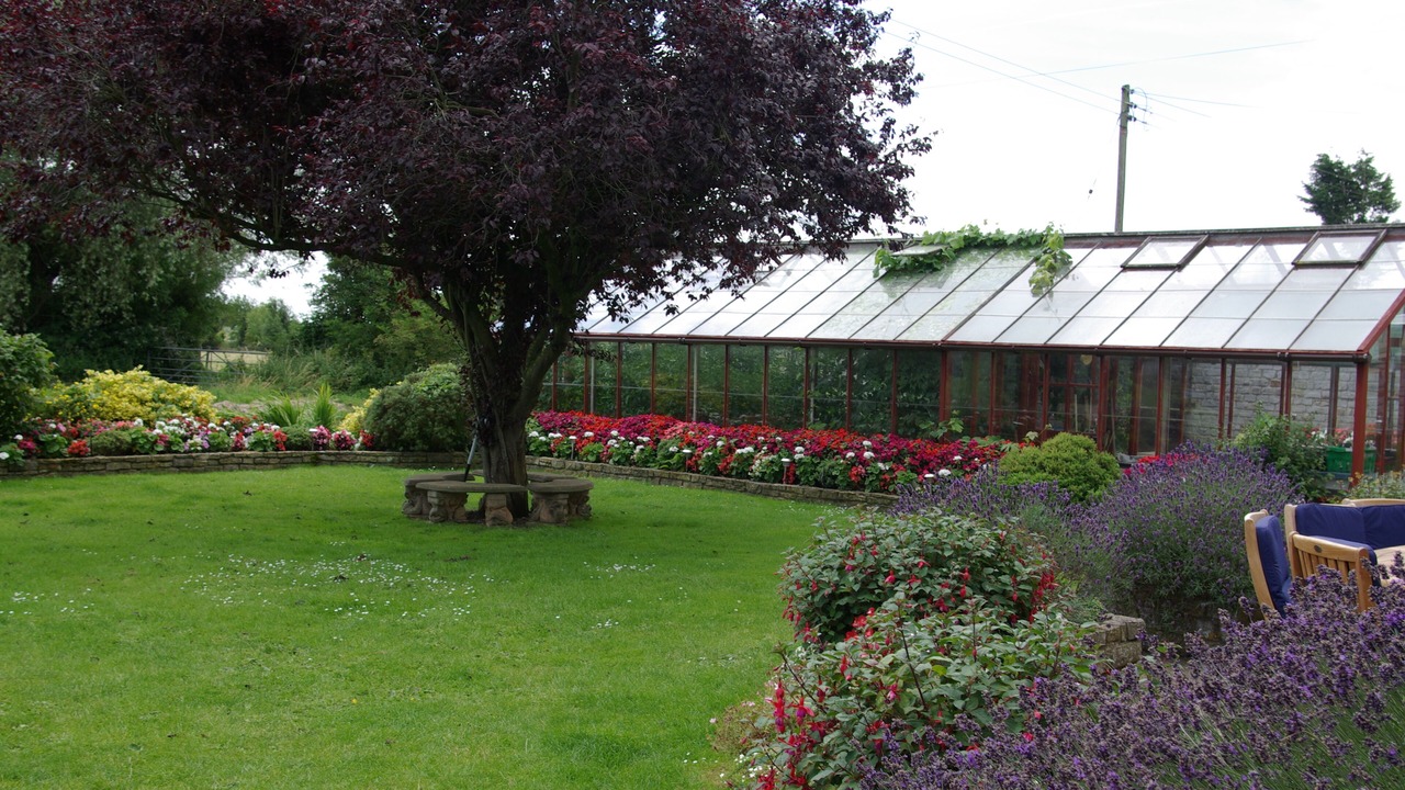 Photo of Outdoor in Lower Godney