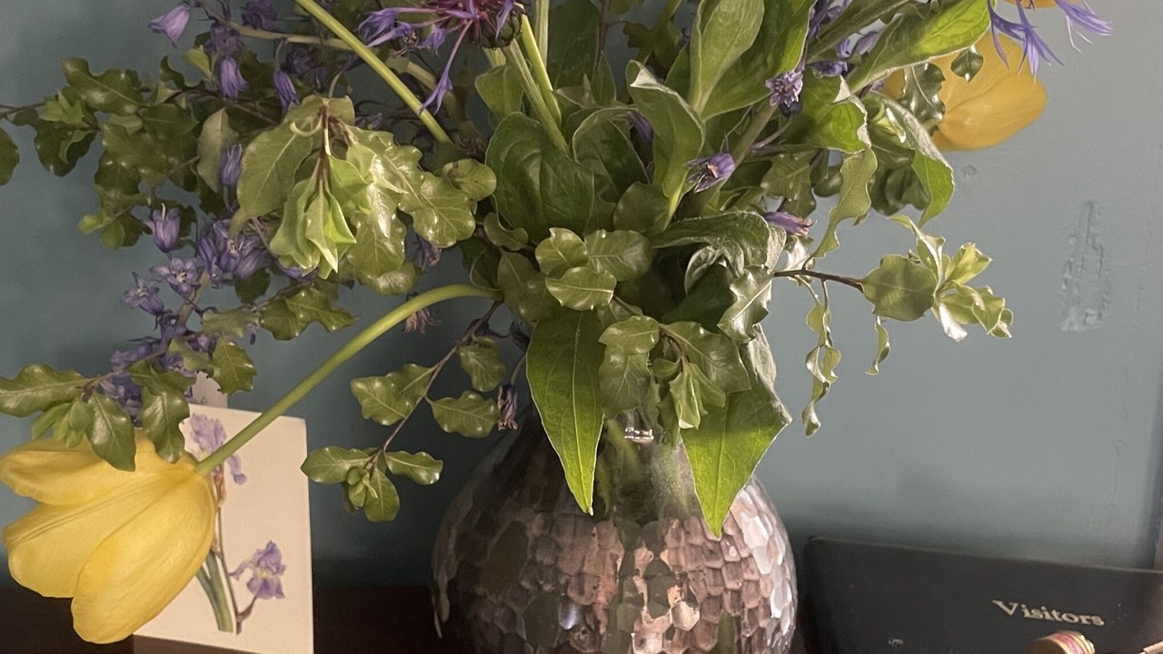 Photo of Outdoor in Redlynch