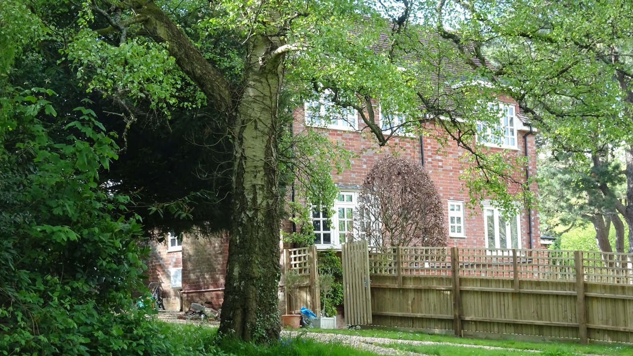 Photo of Others in Redlynch