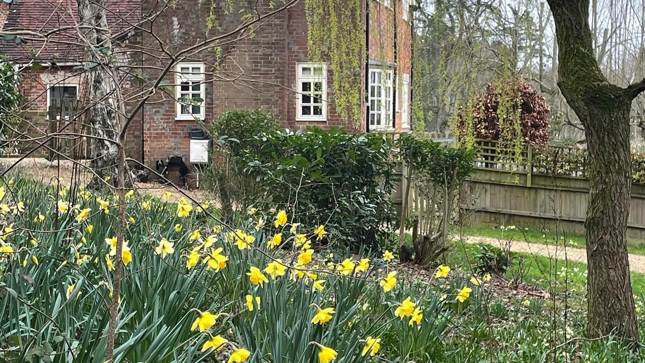 Photo of Others in Redlynch