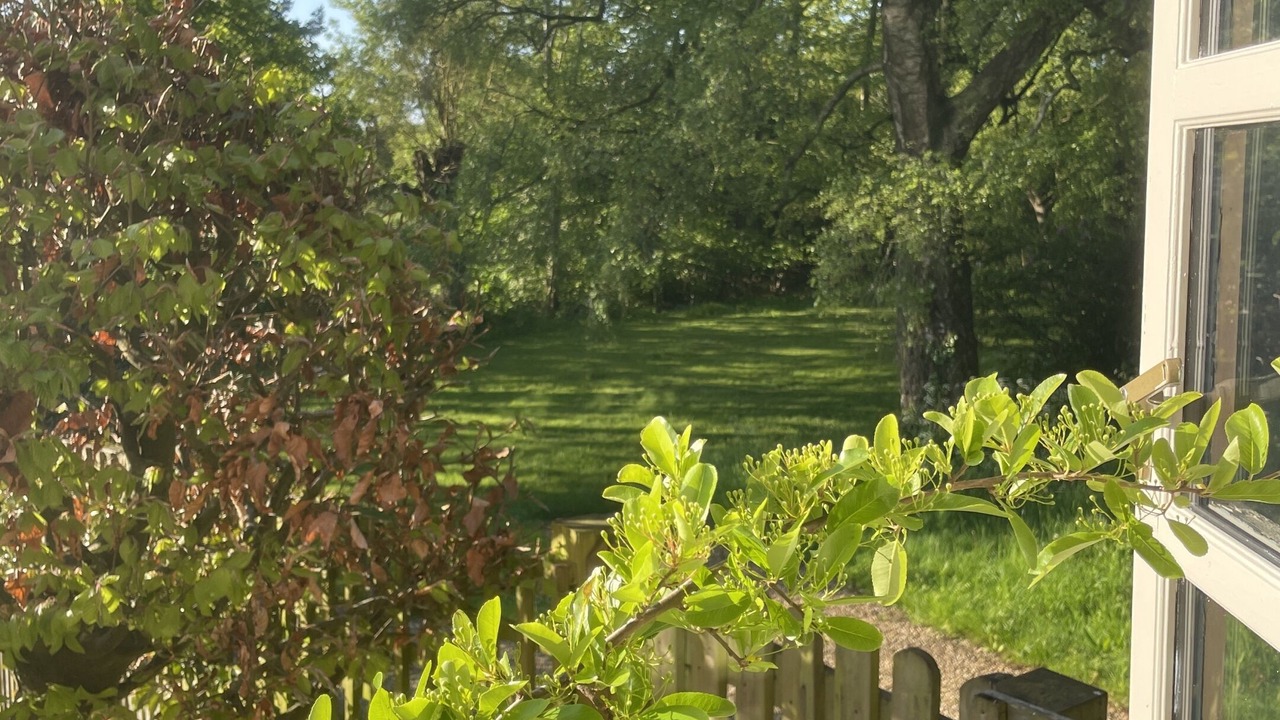 Photo of Others in Redlynch