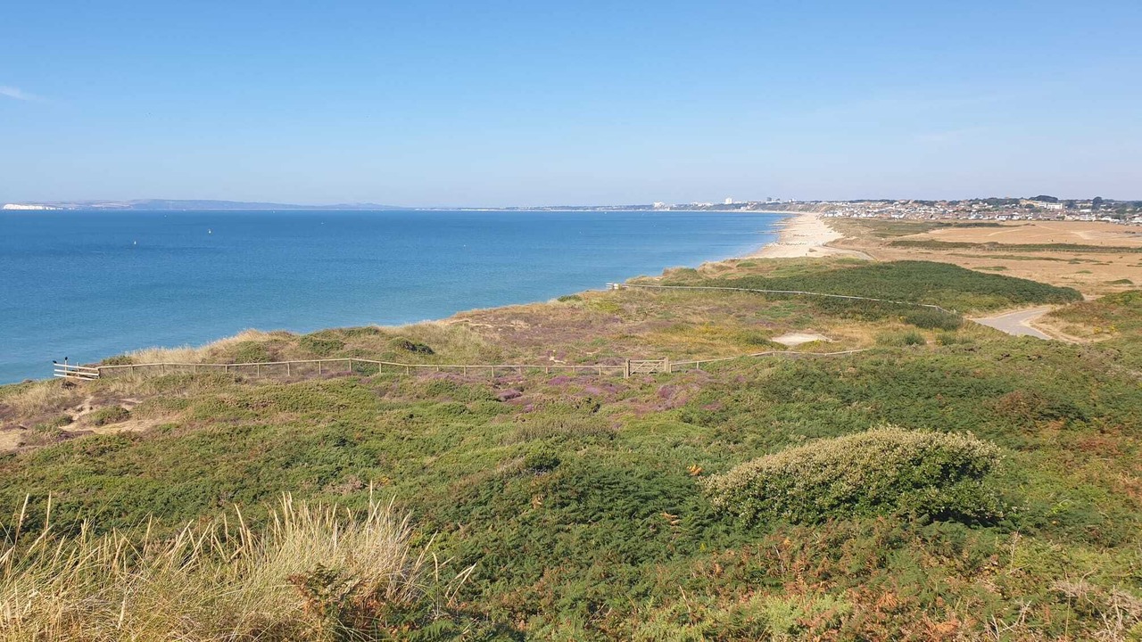 Photo of Others in Redlynch