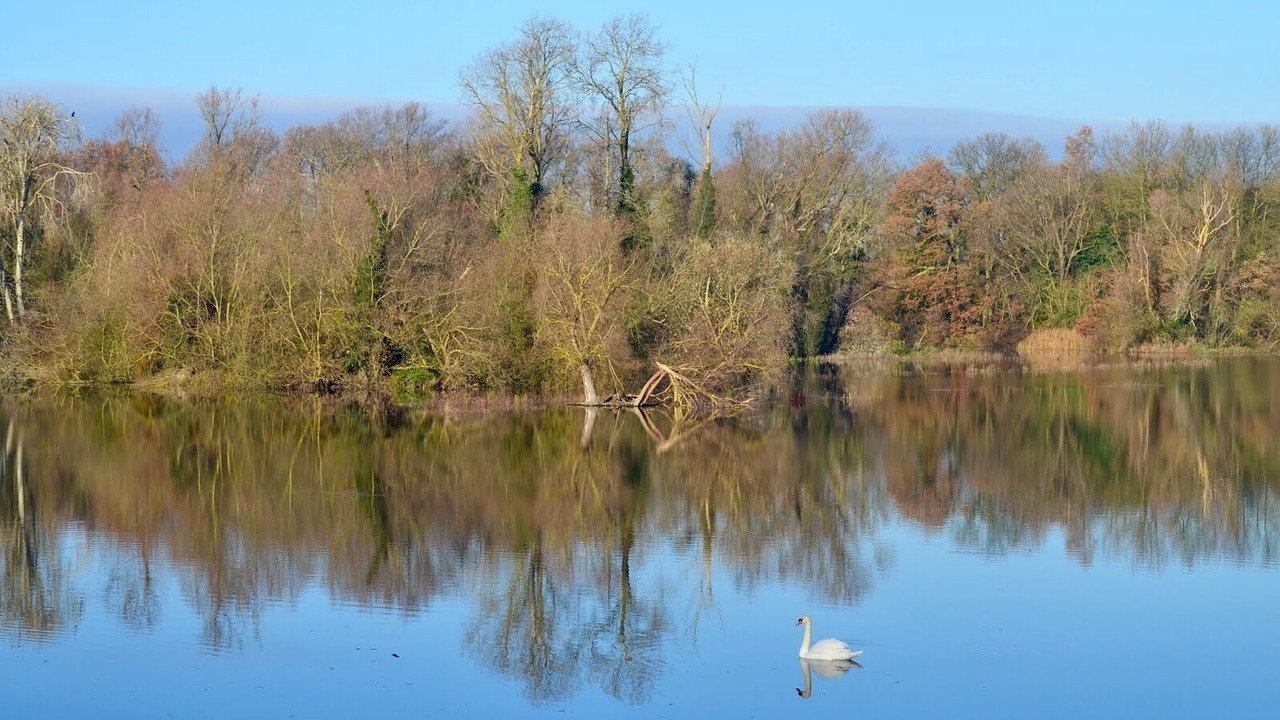 Photo of Others in St Neots