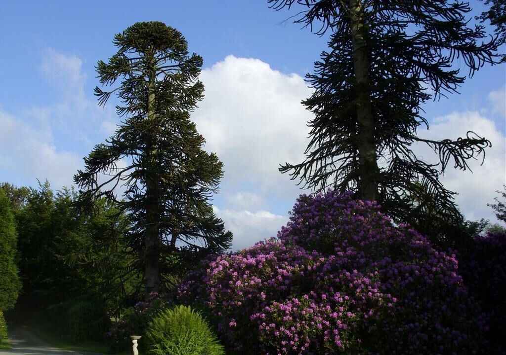 Photo of Others in Parracombe