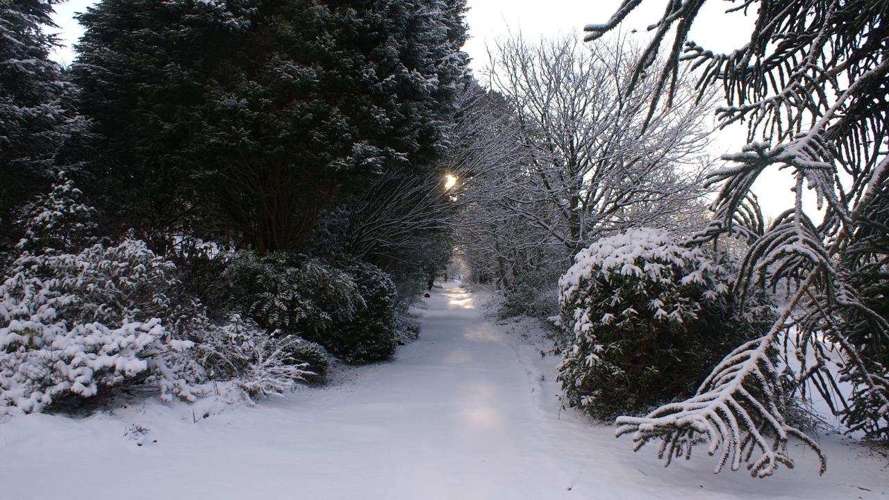 Photo of Outdoor in Parracombe