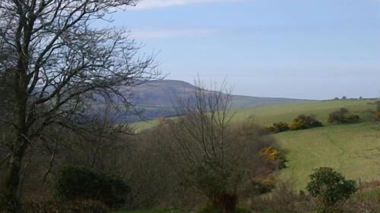 Photo of Others in Parracombe